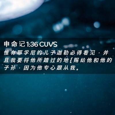 Picture 02 - 申 命 记 1:36 CUVS - 惟 有 耶 孚 尼 的 儿 子 迦 勒 必 得 - Bible Verse Picture