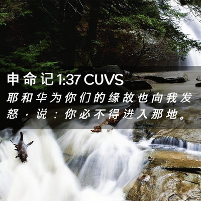 Picture 02 - 申 命 记 1:37 CUVS - 耶 和 华 为 你 们 的 缘 故 也 向 我 - Bible Verse Picture