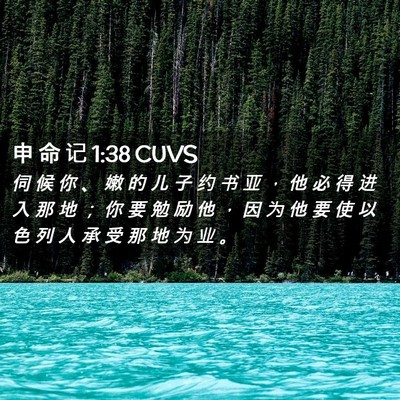 Picture 02 - 申 命 记 1:38 CUVS - 伺 候 你 、 嫩 的 儿 子 约 书 亚 ， - Bible Verse Picture