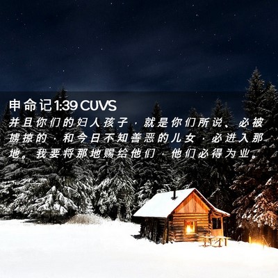 Picture 02 - 申 命 记 1:39 CUVS - 并 且 你 们 的 妇 人 孩 子 ， 就 是 - Bible Verse Picture
