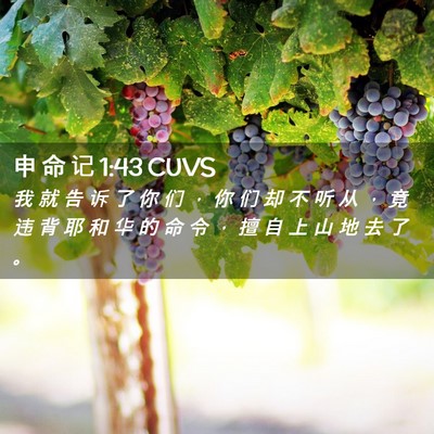 Picture 02 - 申 命 记 1:43 CUVS - 我 就 告 诉 了 你 们 ， 你 们 却 不 - Bible Verse Picture