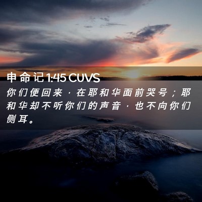 Picture 02 - 申 命 记 1:45 CUVS - 你 们 便 回 来 ， 在 耶 和 华 面 前 - Bible Verse Picture