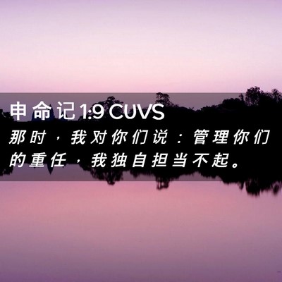 Picture 02 - 申 命 记 1:9 CUVS - 那 时 ， 我 对 你 们 说 ： 管 理 你 - Bible Verse Picture