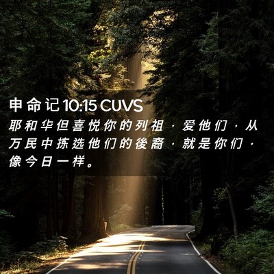 Picture 02 - 申 命 记 10:15 CUVS - 耶 和 华 但 喜 悦 你 的 列 祖 ， 爱 - Bible Verse Picture