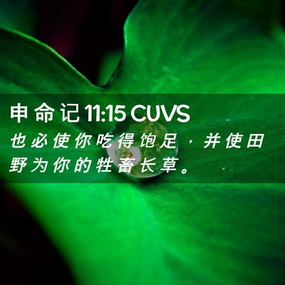 Picture 02 - 申 命 记 11:15 CUVS - 也 必 使 你 吃 得 饱 足 ， 并 使 田 - Bible Verse Picture