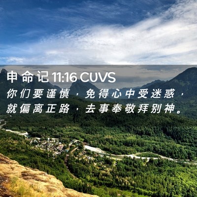 Picture 02 - 申 命 记 11:16 CUVS - 你 们 要 谨 慎 ， 免 得 心 中 受 迷 - Bible Verse Picture