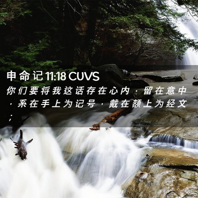 Picture 02 - 申 命 记 11:18 CUVS - 你 们 要 将 我 这 话 存 在 心 内 ， - Bible Verse Picture