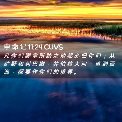 Picture 02 - 申 命 记 11:24 CUVS - 凡 你 们 脚 掌 所 踏 之 地 都 必 归 - Bible Verse Picture