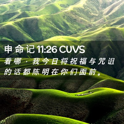 Picture 02 - 申 命 记 11:26 CUVS - 看 哪 ， 我 今 日 将 祝 福 与 咒 诅 - Bible Verse Picture
