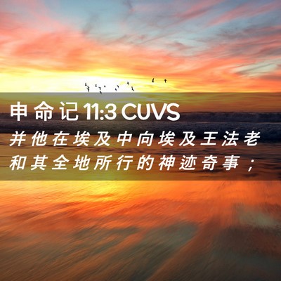 Picture 02 - 申 命 记 11:3 CUVS - 并 他 在 埃 及 中 向 埃 及 王 法 老 - Bible Verse Picture
