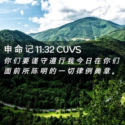Picture 02 - 申 命 记 11:32 CUVS - 你 们 要 谨 守 遵 行 我 今 日 在 你 - Bible Verse Picture