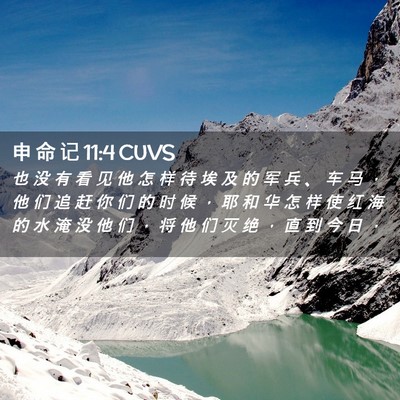Picture 02 - 申 命 记 11:4 CUVS - 也 没 有 看 见 他 怎 样 待 埃 及 的 - Bible Verse Picture