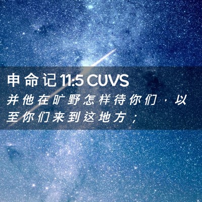 Picture 02 - 申 命 记 11:5 CUVS - 并 他 在 旷 野 怎 样 待 你 们 ， 以 - Bible Verse Picture