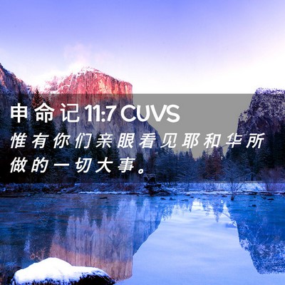 Picture 02 - 申 命 记 11:7 CUVS - 惟 有 你 们 亲 眼 看 见 耶 和 华 所 - Bible Verse Picture