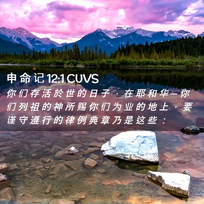 Picture 02 - 申 命 记 12:1 CUVS - 你 们 存 活 於 世 的 日 子 ， 在 耶 - Bible Verse Picture