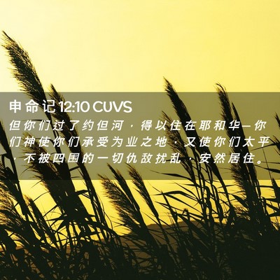 Picture 02 - 申 命 记 12:10 CUVS - 但 你 们 过 了 约 但 河 ， 得 以 住 - Bible Verse Picture