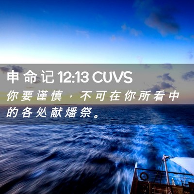 Picture 02 - 申 命 记 12:13 CUVS - 你 要 谨 慎 ， 不 可 在 你 所 看 中 - Bible Verse Picture