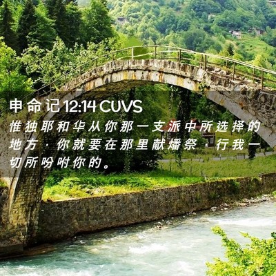 Picture 02 - 申 命 记 12:14 CUVS - 惟 独 耶 和 华 从 你 那 一 支 派 中 - Bible Verse Picture
