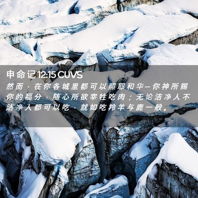 Picture 02 - 申 命 记 12:15 CUVS - 然 而 ， 在 你 各 城 里 都 可 以 照 - Bible Verse Picture