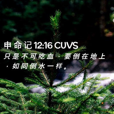 Picture 02 - 申 命 记 12:16 CUVS - 只 是 不 可 吃 血 ， 要 倒 在 地 上 - Bible Verse Picture
