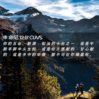 Picture 02 - 申 命 记 12:17 CUVS - 你 的 五 谷 、 新 酒 ， 和 油 的 十 - Bible Verse Picture