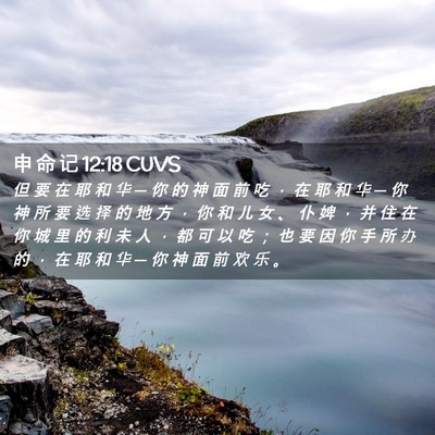 Picture 02 - 申 命 记 12:18 CUVS - 但 要 在 耶 和 华 ─ 你 的 神 面 前 - Bible Verse Picture
