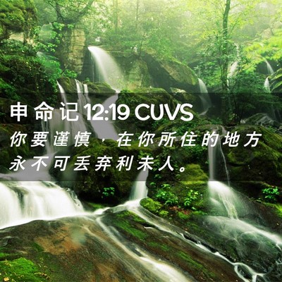 Picture 02 - 申 命 记 12:19 CUVS - 你 要 谨 慎 ， 在 你 所 住 的 地 方 - Bible Verse Picture
