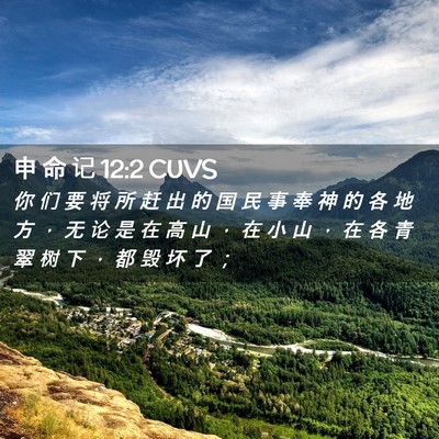Picture 02 - 申 命 记 12:2 CUVS - 你 们 要 将 所 赶 出 的 国 民 事 奉 - Bible Verse Picture