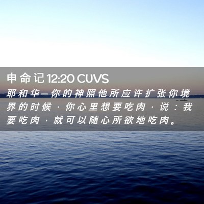 Picture 02 - 申 命 记 12:20 CUVS - 耶 和 华 ─ 你 的 神 照 他 所 应 许 - Bible Verse Picture