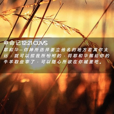 Picture 02 - 申 命 记 12:21 CUVS - 耶 和 华 ─ 你 神 所 选 择 要 立 他 - Bible Verse Picture