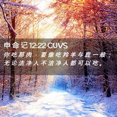 Picture 02 - 申 命 记 12:22 CUVS - 你 吃 那 肉 ， 要 像 吃 羚 羊 与 鹿 - Bible Verse Picture