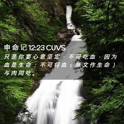 Picture 02 - 申 命 记 12:23 CUVS - 只 是 你 要 心 意 坚 定 ， 不 可 吃 - Bible Verse Picture