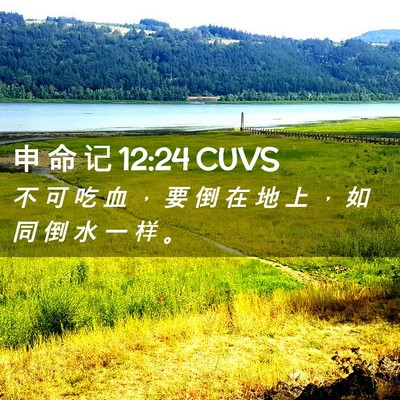 Picture 02 - 申 命 记 12:24 CUVS - 不 可 吃 血 ， 要 倒 在 地 上 ， 如 - Bible Verse Picture