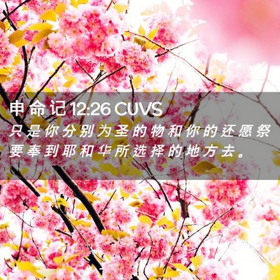 Picture 02 - 申 命 记 12:26 CUVS - 只 是 你 分 别 为 圣 的 物 和 你 的 - Bible Verse Picture