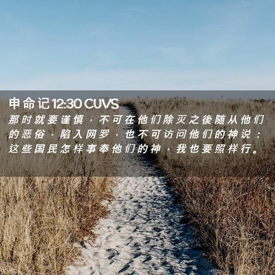 Picture 02 - 申 命 记 12:30 CUVS - 那 时 就 要 谨 慎 ， 不 可 在 他 们 - Bible Verse Picture