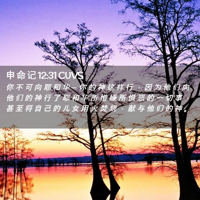 Picture 02 - 申 命 记 12:31 CUVS - 你 不 可 向 耶 和 华 ─ 你 的 神 这 - Bible Verse Picture