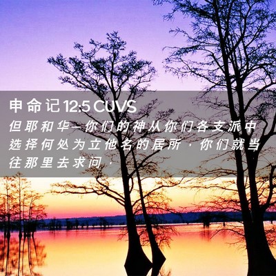 Picture 02 - 申 命 记 12:5 CUVS - 但 耶 和 华 ─ 你 们 的 神 从 你 们 - Bible Verse Picture