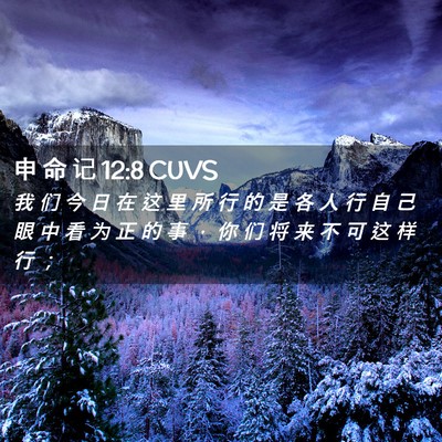 Picture 02 - 申 命 记 12:8 CUVS - 我 们 今 日 在 这 里 所 行 的 是 各 - Bible Verse Picture