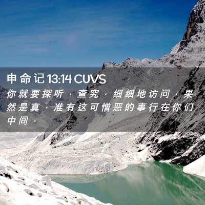 Picture 02 - 申 命 记 13:14 CUVS - 你 就 要 探 听 ， 查 究 ， 细 细 地 - Bible Verse Picture