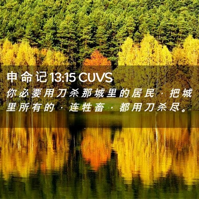 Picture 02 - 申 命 记 13:15 CUVS - 你 必 要 用 刀 杀 那 城 里 的 居 民 - Bible Verse Picture