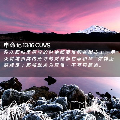 Picture 02 - 申 命 记 13:16 CUVS - 你 从 那 城 里 所 夺 的 财 物 都 要 - Bible Verse Picture