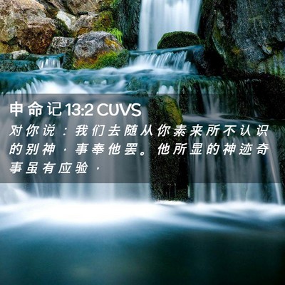 Picture 02 - 申 命 记 13:2 CUVS - 对 你 说 ： 我 们 去 随 从 你 素 来 - Bible Verse Picture