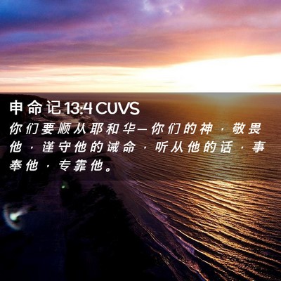 Picture 02 - 申 命 记 13:4 CUVS - 你 们 要 顺 从 耶 和 华 ─ 你 们 的 - Bible Verse Picture