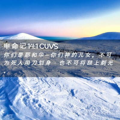 Picture 02 - 申 命 记 14:1 CUVS - 你 们 是 耶 和 华 ─ 你 们 神 的 儿 - Bible Verse Picture