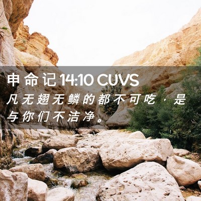 Picture 02 - 申 命 记 14:10 CUVS - 凡 无 翅 无 鳞 的 都 不 可 吃 ， 是 - Bible Verse Picture