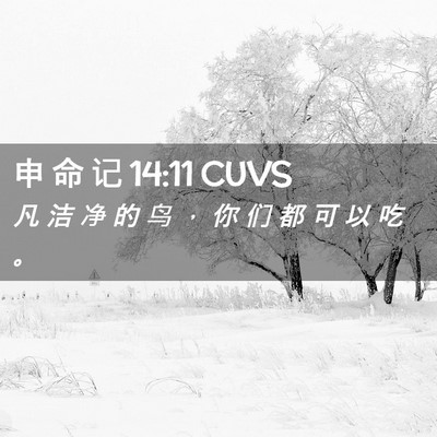 Picture 02 - 申 命 记 14:11 CUVS - 凡 洁 净 的 鸟 ， 你 们 都 可 以 吃 - Bible Verse Picture