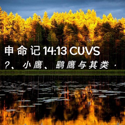Picture 02 - 申 命 记 14:13 CUVS - ? 、 小 鹰 、 鹞 鹰 与 其 类 - Bible Verse Picture