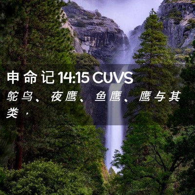 Picture 02 - 申 命 记 14:15 CUVS - 鸵 鸟 、 夜 鹰 、 鱼 鹰 、 鹰 与 其 - Bible Verse Picture
