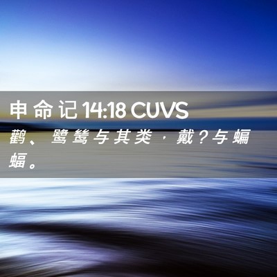 Picture 02 - 申 命 记 14:18 CUVS - 鹳 、 鹭 鸶 与 其 类 ， 戴 ? 与 蝙 蝠 - Bible Verse Picture