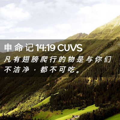 Picture 02 - 申 命 记 14:19 CUVS - 凡 有 翅 膀 爬 行 的 物 是 与 你 们 - Bible Verse Picture